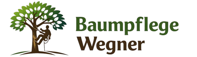 Kein Titel (800 x 234 px)