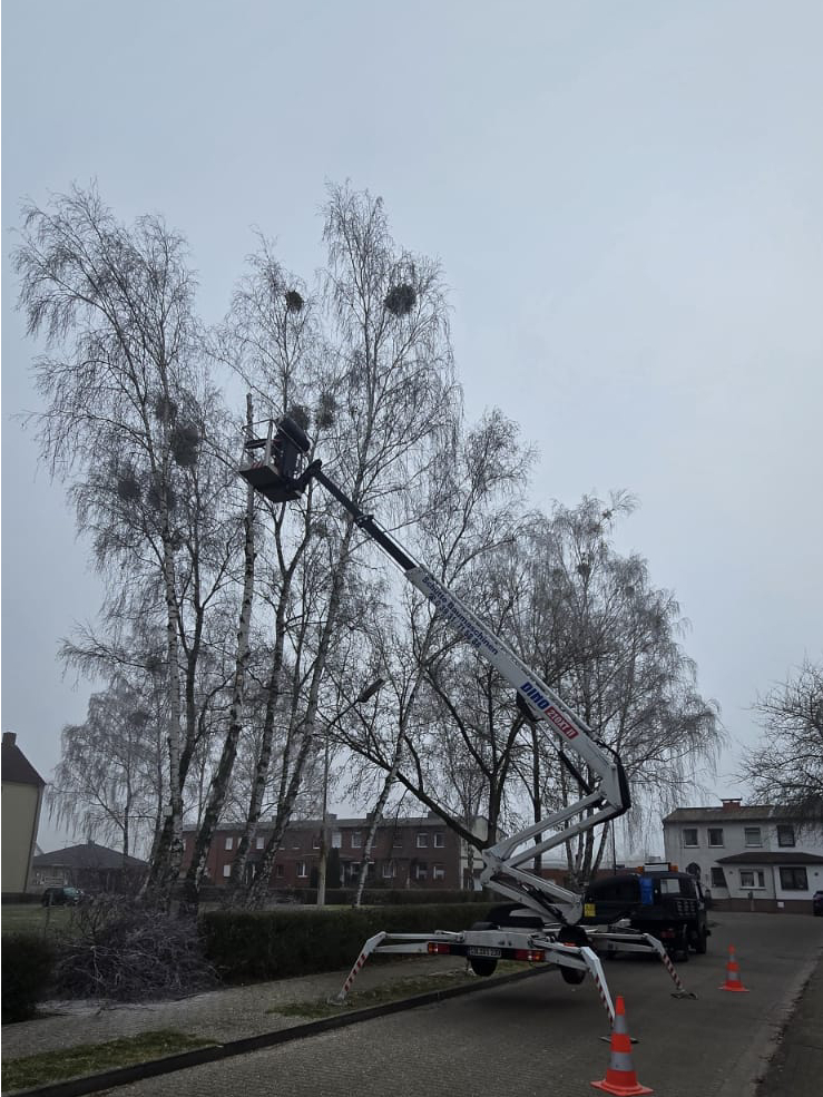 WhatsApp Image 2026-01-07 at 01.53.06